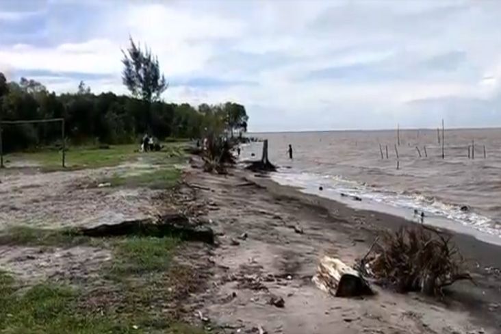Desa Kuala Besar Langkat Terancam Tenggelam Akibat Abrasi Pantai