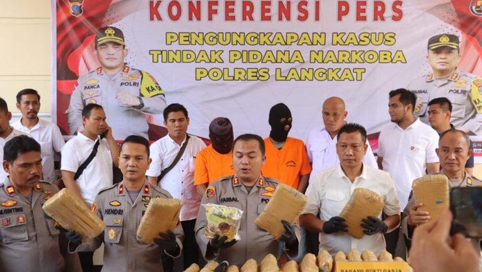 Bawa Ganja 233 Kg, Pria Asal Aceh Ditangkap di Langkat