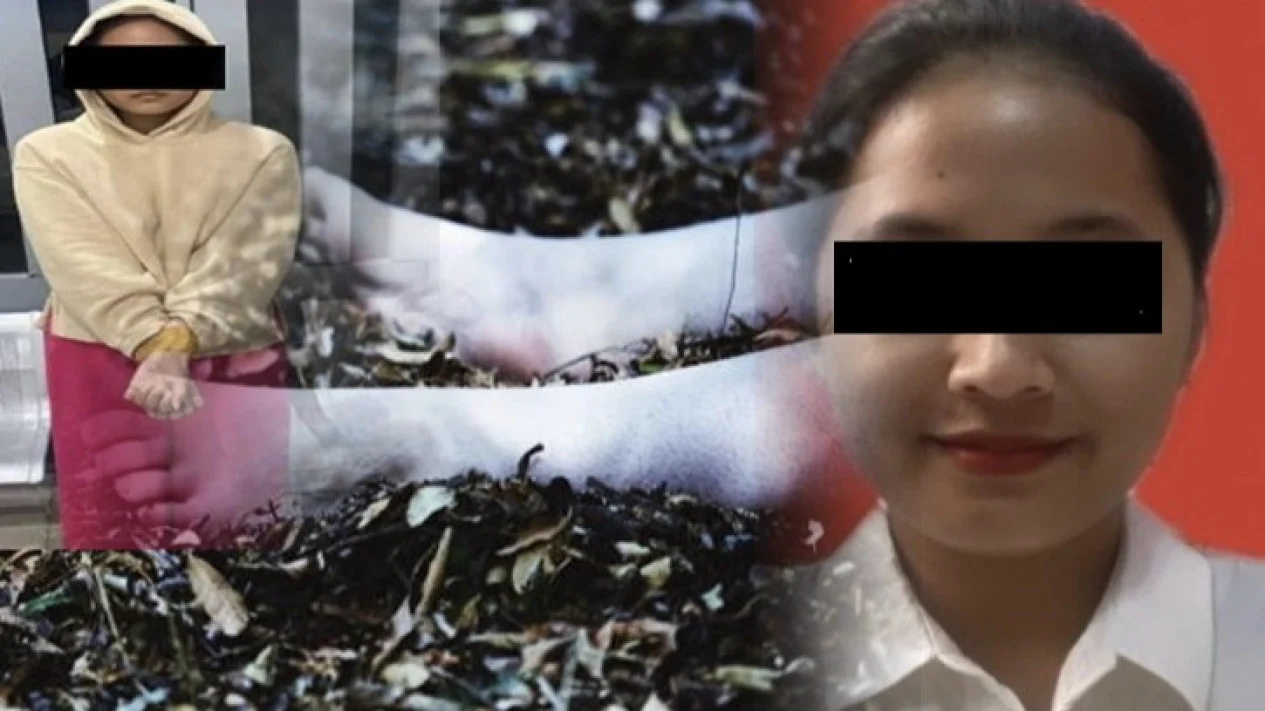Terkuak! Oknum Caleg DPR Devara Putri Prananda Otak Pembunuhan Mayat Wanita Berselimut di Banjar