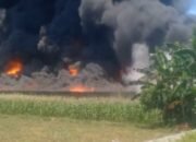 Pabrik Tikar Busa di Binjai Utara Ludes Terbakar