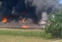 Pabrik Tikar Busa di Binjai Utara Ludes Terbakar