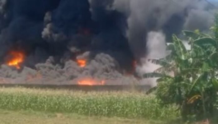 Pabrik Tikar Busa di Binjai Utara Ludes Terbakar