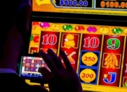 Komplotan “Ternak Akun” Judi Online di Bantul Ditangkap, Diduga Rugikan Bandar