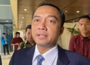 Pemerintah Akan Tindaklanjuti Putusan MK soal Larangan Rangkap Jabatan Wakil Menteri