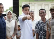 Ricky Anthony Desak Pemkab Langkat Serius Peremajaan Pohon Rawan Tumbang