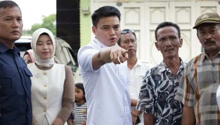 Ricky Anthony Desak Pemkab Langkat Serius Peremajaan Pohon Rawan Tumbang