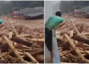 7 Perusahaan Ini Disebut Jadi Penyebab Banjir di Tapanuli