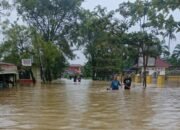 4 Hari Tanjung Pura Tenggelam, Bantuan Tak Menyentuh Warga: Penjarahan Jadi Sinyal Peringatan