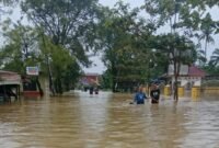 4 Hari Tanjung Pura Tenggelam, Bantuan Tak Menyentuh Warga: Penjarahan Jadi Sinyal Peringatan