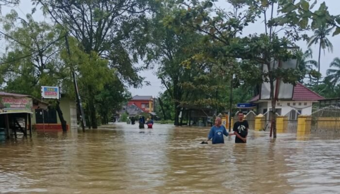 4 Hari Tanjung Pura Tenggelam, Bantuan Tak Menyentuh Warga: Penjarahan Jadi Sinyal Peringatan