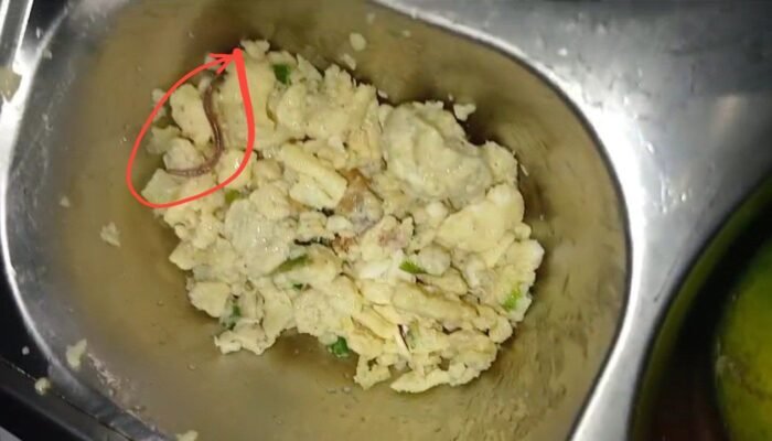 Video MBG Bercacing di SMAN 6 Medan Viral, BGN Sumut Turun Tangan Lakukan Penyelidikan