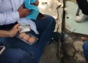 Program Makan Bergizi Gratis di Langkat Disorot, Siswa Hanya Terima Telur Mentah dan Susu Mini