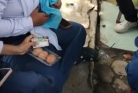 Program Makan Bergizi Gratis di Langkat Disorot, Siswa Hanya Terima Telur Mentah dan Susu Mini