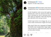 Nicholas Saputra Pastikan Wisata Alam Tangkahan Aman, Akses Masih Terputus di Sejumlah Titik