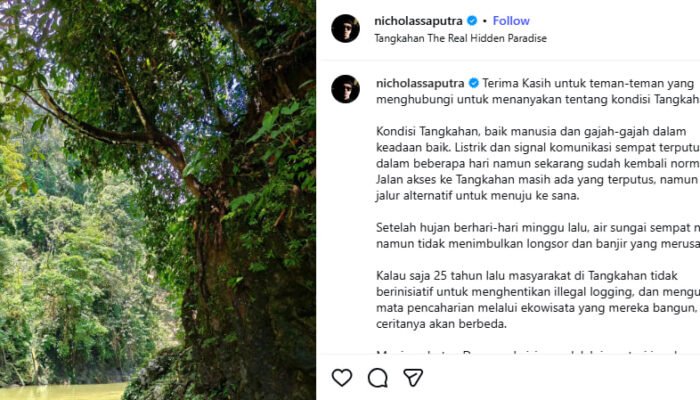 Nicholas Saputra Pastikan Wisata Alam Tangkahan Aman, Akses Masih Terputus di Sejumlah Titik