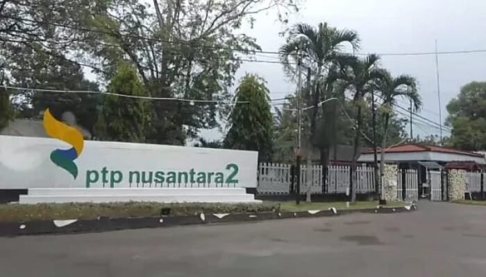 Dugaan Skandal Lahan Eks HGU PTPN II: Nama Ashari Tambunan Terseret, RCW Desak Kejati Sumut Bertindak
