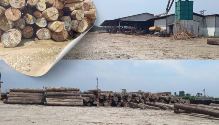 Gunung Kayu di PT Tanjung Timberindo Masih Misteri, Polda Sumut Belum Berikan Keterangan Resmi