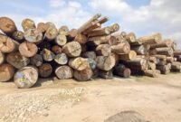 Miris! Di Tengah Duka Banjir Bandang, PT Tanjung Timberindo Diduga Tampung Kayu Ilegal asal Hutan Sumut-Aceh