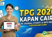 TPG 2026 Cair Setiap Bulan, Ini Tahapan dan Jadwal Pencairannya yang Wajib Dipahami Guru