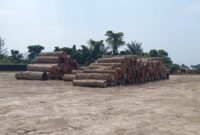 Gelondongan Kayu Milik PT Tanjung Timberindo Industry Masih Tanda Tanya, Dinas Kehutanan Sumut: Kayu Asal Maluku