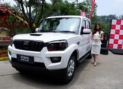 105 Ribu Pikap India Masuk RI, Harganya Cuma Rp 200 Jutaan? Industri Lokal Terancam!