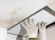 Muncul Black Mold di Plafon? Bisa Jadi Akibat Kebocoran Dak Beton