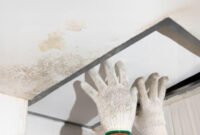 Muncul Black Mold di Plafon? Bisa Jadi Akibat Kebocoran Dak Beton