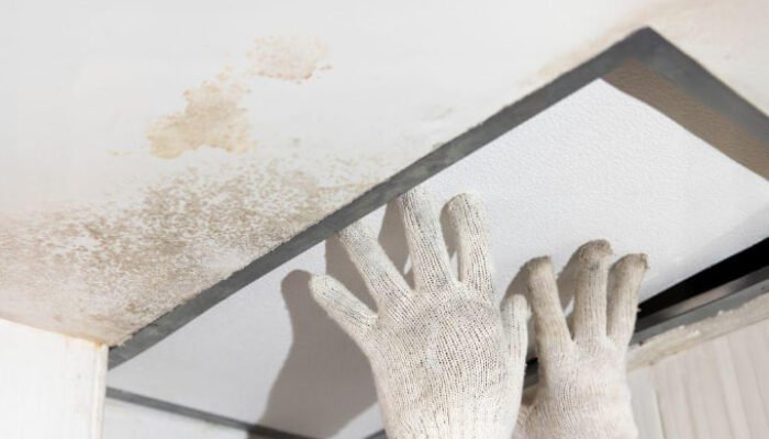 Muncul Black Mold di Plafon? Bisa Jadi Akibat Kebocoran Dak Beton