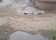 Tokoh Pemuda Reza Nasution Soroti Dugaan Perusakan Jalan oleh PDAM Tirtanadi di Karya Jaya