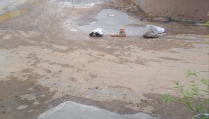 Tokoh Pemuda Reza Nasution Soroti Dugaan Perusakan Jalan oleh PDAM Tirtanadi di Karya Jaya