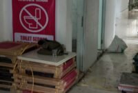 Dugaan Korupsi Disdiksu Rp 2 Miliar Seret Nama Alexander Sinulingga