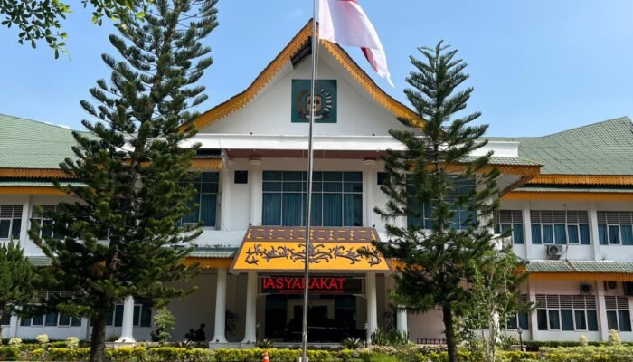 BPS Ungkap Potret Pemerintahan Langkat 2025: ASN 10 Ribu Lebih, 277 Desa Jadi Fokus Layanan