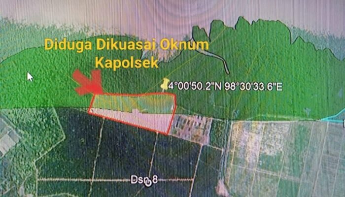 Dugaan Lama Kembali Mencuat, Kapolsek Tanjung Pura Disorot Soal Sawit di Hutan Lindung, Ini Kata Kapolres Langkat