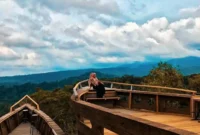 Pariwisata Langkat 2025: Kunjungan Wisman Menurun, Wisatawan Domestik Tetap Dominan