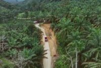 Bobby Mulai Gas Jalan Tapsel–Paluta, Jalur “Mimpi 20 Tahun” Kini Mulai Dikerjakan