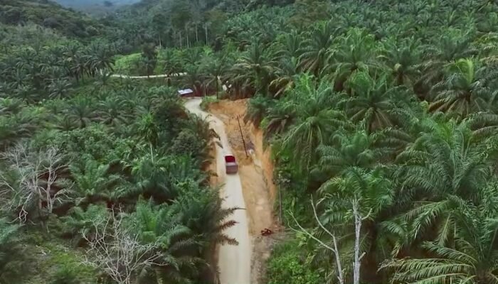 Bobby Mulai Gas Jalan Tapsel–Paluta, Jalur “Mimpi 20 Tahun” Kini Mulai Dikerjakan