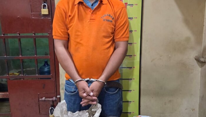 Polres Langkat Gerebek Rumah di Stabat, Puluhan Paket Ganja dan Alat Pengemasan Disita