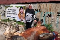 Majelis Ta’lim dan Dzikir Al Haura Sumut Salurkan Hewan Kurban kepada Masyarakat di Medan dan Batubara