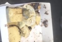Viral Bolu Berjamur Dijual Aroma Bakery, Disperindag Sumut Temukan Produk Tanpa Tanggal Kedaluwarsa