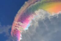 Awan Pelangi Muncul di Bogor, BMKG: Fenomena Optik Langka dan Indah
