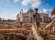 Antara Kebijaksanaan Tuhan dan Manusia Sikapi Keseimbangan Alam