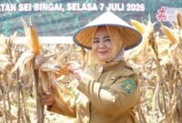 Usai Jadi Plt Bupati, Tiorita Langsung Turun ke Sawah Pimpin Panen Raya Jagung