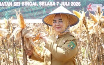 Usai Jadi Plt Bupati, Tiorita Langsung Turun ke Sawah Pimpin Panen Raya Jagung