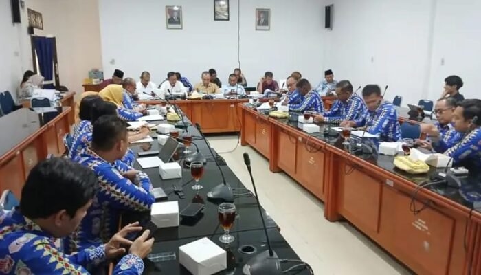 DPRD Deli Serdang Tolak Anggaran Sewa 30 Unit Mobil Listrik Bupati dan OPD