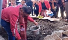 Hasto Kristiyanto Hadirin Peletakan Batu Pertama Kantor PDI Perjuangan Samosir